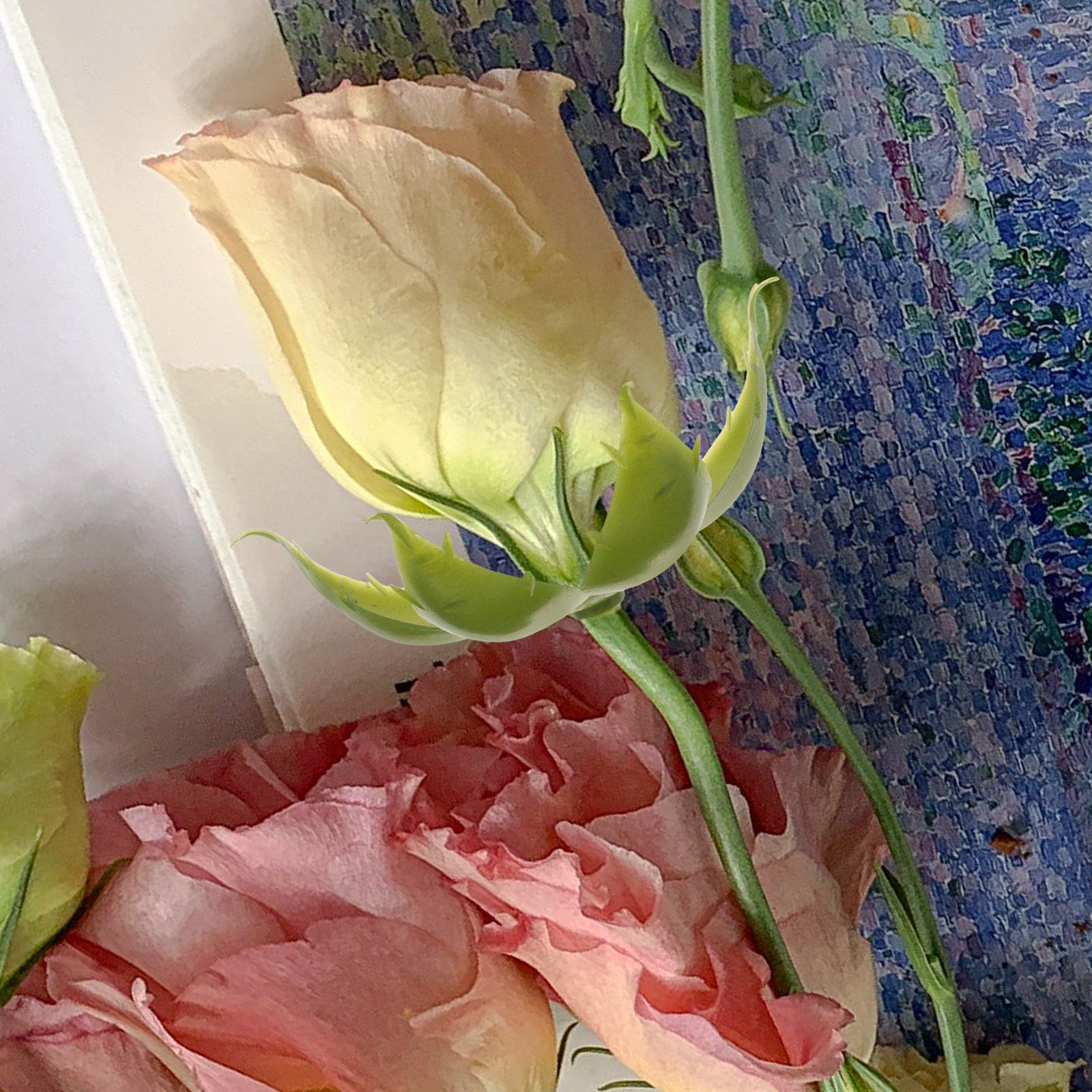 Soap Making Ins - 50個入り 人工バラの花弁（萼） プラスチック製 花飾り DIY用 石鹸花や工芸品、装飾に最適
